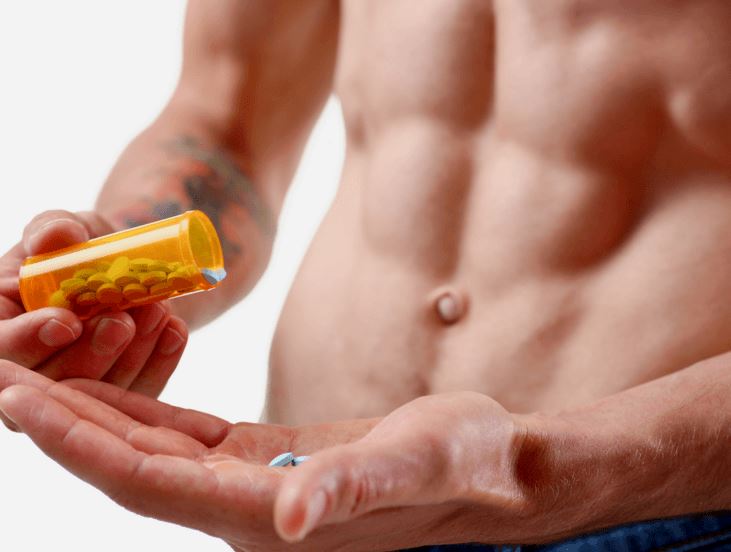 muscle building supplements